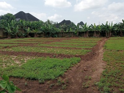 AGRICULTURAL RESEARCH FARM